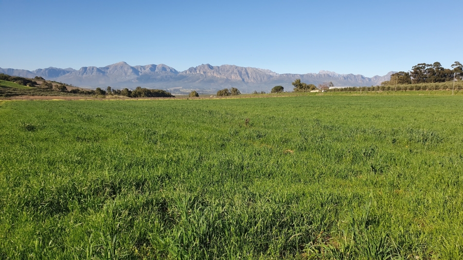 Commercial Property for Sale in Paarl Rural Western Cape